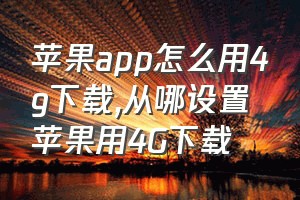 苹果app怎么用4g下载（从哪设置苹果用4G下载）