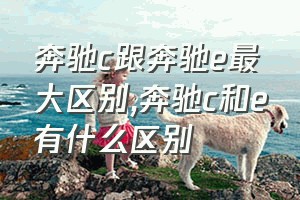 奔驰c跟奔驰e最大区别（奔驰c和e有什么区别）