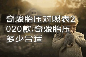 奇骏胎压对照表2020款（奇骏胎压多少合适）