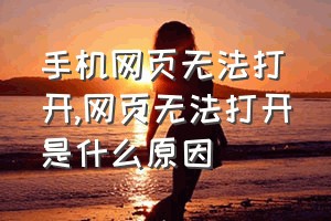 手机网页无法打开（网页无法打开是什么原因）