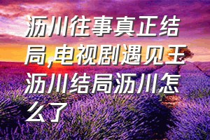 沥川往事真正结局（电视剧遇见王沥川结局沥川怎么了）