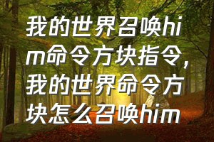 我的世界召唤him命令方块指令（我的世界命令方块怎么召唤him）