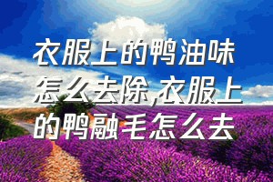 衣服上的鸭油味怎么去除（衣服上的鸭融毛怎么去）