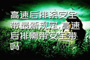 高速后排系安全带最新规定（高速后排需带安全带吗）