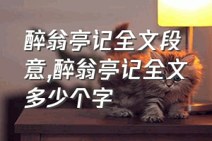 醉翁亭记全文段意（醉翁亭记全文多少个字）