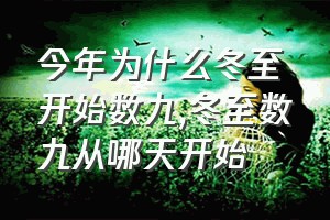 今年为什么冬至开始数九（冬至数九从哪天开始）