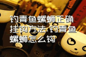 钓青鱼螺蛳正确挂钩方法（钓青鱼螺蛳怎么钩）