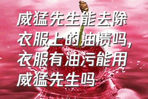 威猛先生能去除衣服上的油渍吗（衣服有油污能用威猛先生吗）