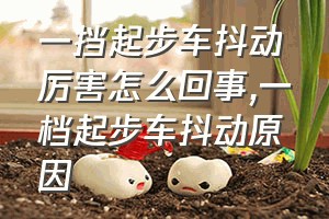 一挡起步车抖动厉害怎么回事（一档起步车抖动原因）