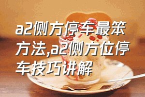 a2侧方停车最笨方法（a2侧方位停车技巧讲解）