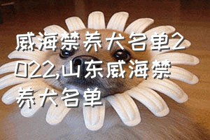 威海禁养犬名单2022（山东威海禁养犬名单）