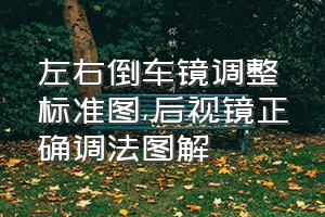 左右倒车镜调整标准图（后视镜正确调法图解）