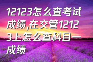 12123怎么查考试成绩（在交管12123上怎么查科目一成绩）