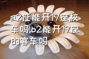 a2证能开19座校车吗（b2能开19座的客车吗）