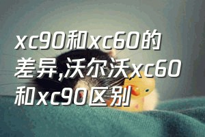 xc90和xc60的差异（沃尔沃xc60和xc90区别）