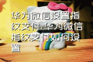 华为微信设置指纹支付（华为微信指纹支付如何设置）