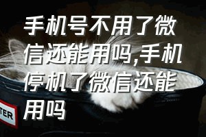 手机号不用了微信还能用吗（手机停机了微信还能用吗）