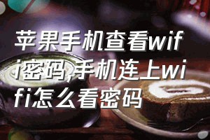 苹果手机查看wifi密码（手机连上wifi怎么看密码）