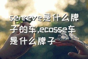 senreve是什么牌子的车（ecosse车是什么牌子）