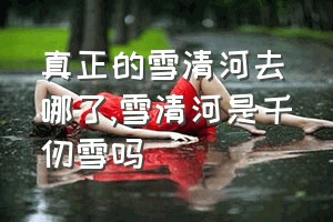 真正的雪清河去哪了（雪清河是千仞雪吗）