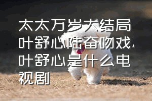 太太万岁大结局叶舒心陆奋吻戏（叶舒心是什么电视剧）