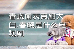 春晓偷表真相大白（春晓是什么电视剧）