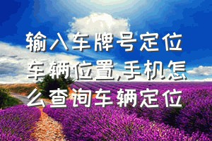 输入车牌号定位车辆位置（手机怎么查询车辆定位）