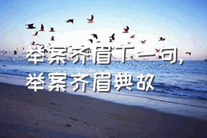 举案齐眉下一句（举案齐眉典故）