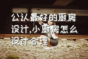 公认最好的厨房设计（小厨房怎么设计合理）