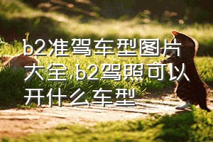 b2准驾车型图片大全（b2驾照可以开什么车型）