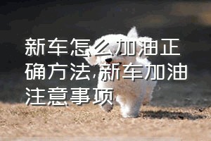 新车怎么加油正确方法（新车加油注意事项）