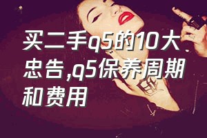 买二手q5的10大忠告（q5保养周期和费用）