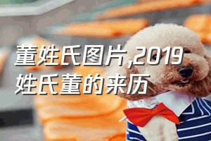 董姓氏图片（2019姓氏董的来历）