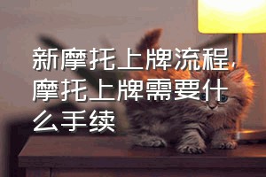 新摩托上牌流程（摩托上牌需要什么手续）