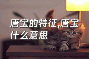 唐宝的特征（唐宝什么意思）