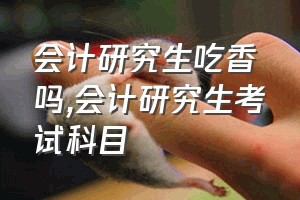 会计研究生吃香吗（会计研究生考试科目）