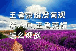 王者荣耀没有观战入口（王者荣耀怎么观战）