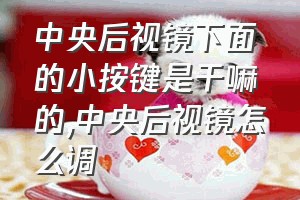 中央后视镜下面的小按键是干嘛的（中央后视镜怎么调）