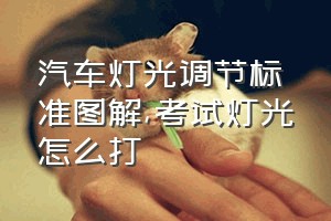 汽车灯光调节标准图解（考试灯光怎么打）