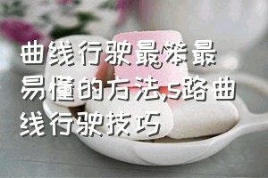 曲线行驶最笨最易懂的方法（s路曲线行驶技巧）