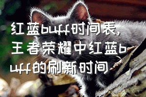 红蓝buff时间表（王者荣耀中红蓝buff的刷新时间）