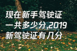 现在新手驾驶证一共多少分（2019新驾驶证有几分）