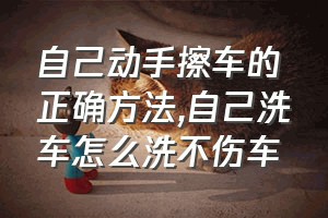 自己动手擦车的正确方法（自己洗车怎么洗不伤车）