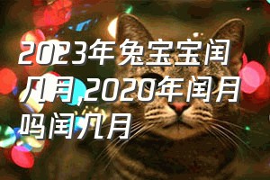 2023年兔宝宝闰几月（2020年闰月吗闰几月）