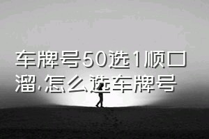 车牌号50选1顺口溜（怎么选车牌号）