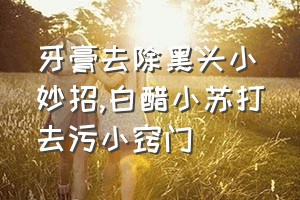 牙膏去除黑头小妙招（白醋小苏打去污小窍门）