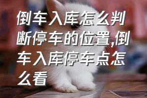 倒车入库怎么判断停车的位置（倒车入库停车点怎么看）