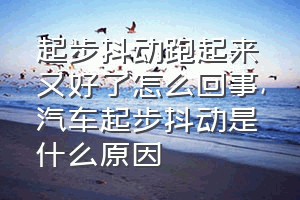 起步抖动跑起来又好了怎么回事（汽车起步抖动是什么原因）