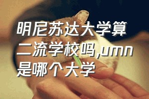 明尼苏达大学算二流学校吗（umn是哪个大学）