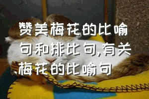 赞美梅花的比喻句和排比句（有关梅花的比喻句）